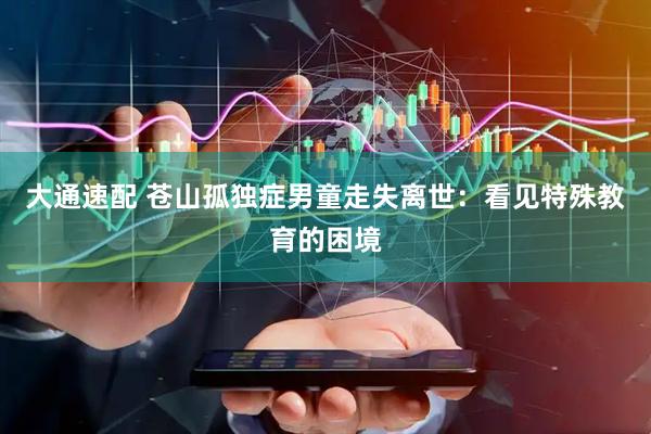 大通速配 苍山孤独症男童走失离世：看见特殊教育的困境