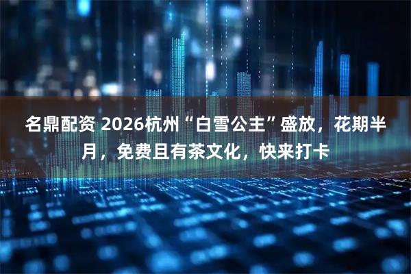 名鼎配资 2026杭州“白雪公主”盛放，花期半月，免费且有茶文化，快来打卡